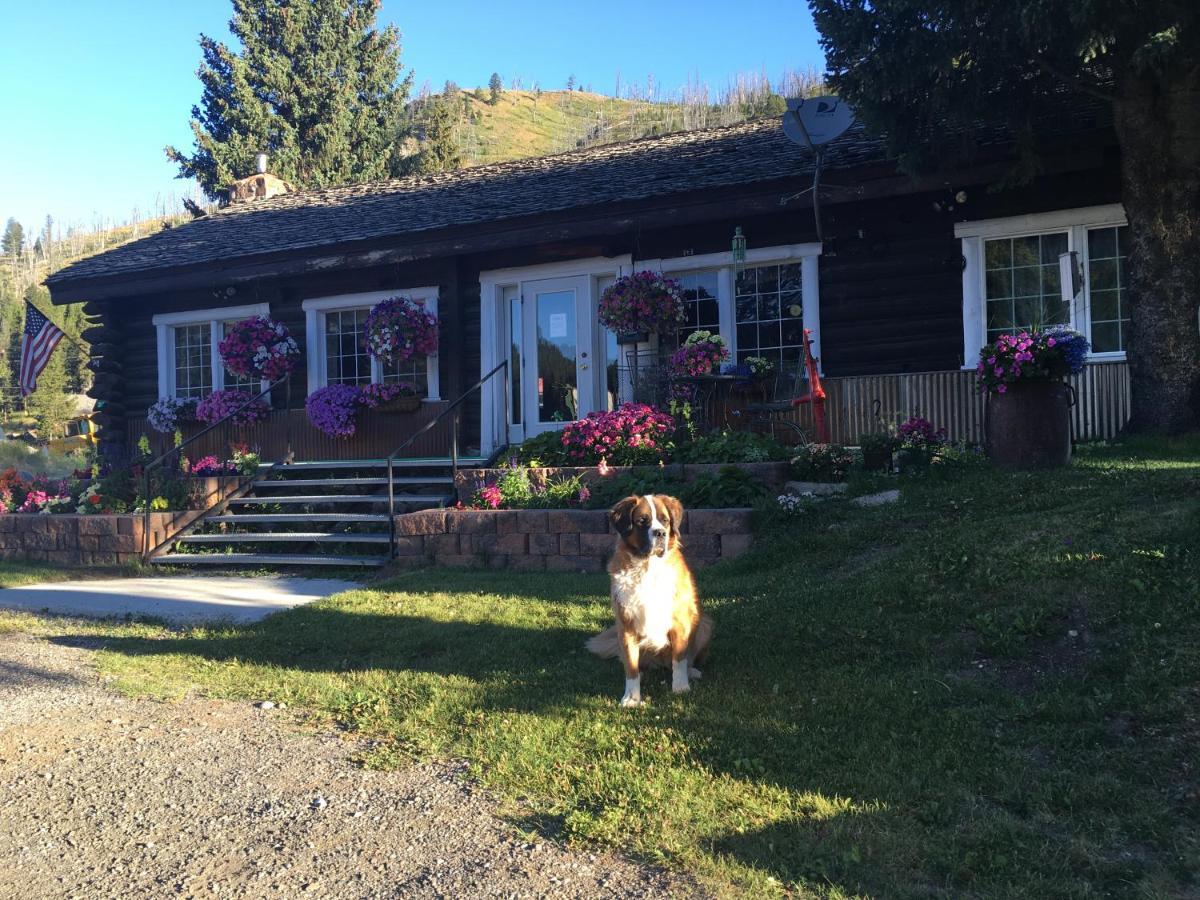 Antlers Lodge Cooke City Zewnętrze zdjęcie